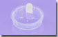 Sifter for 5 Gram PETG Jar with Applied Sifter Sticker & Tab
