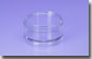 50 Gram Clear Midsection